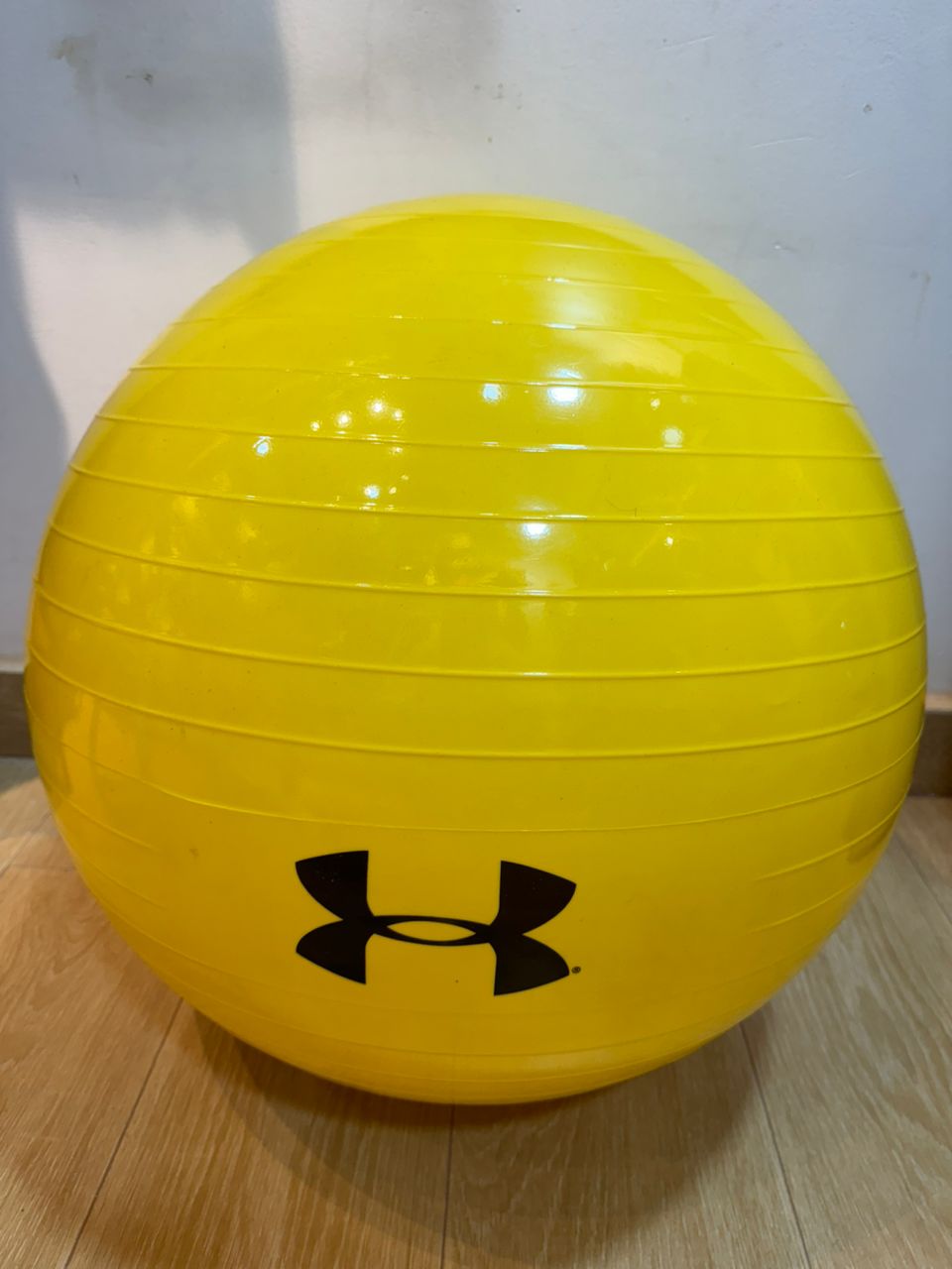 Gym Ball